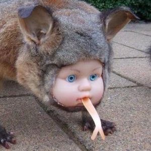 Meet your Posher, Jackson